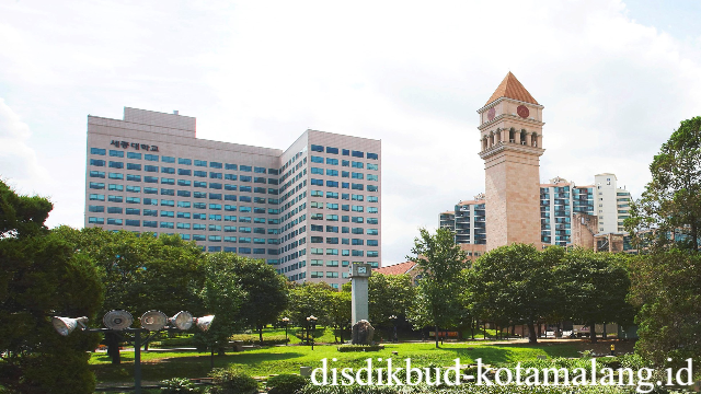 Sejong University Seoul: Pusat Pendidikan Tinggi Berbasis Inovasi