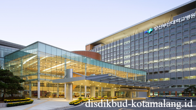 Pusan National University: Universitas Riset dan Inovasi Unggulan